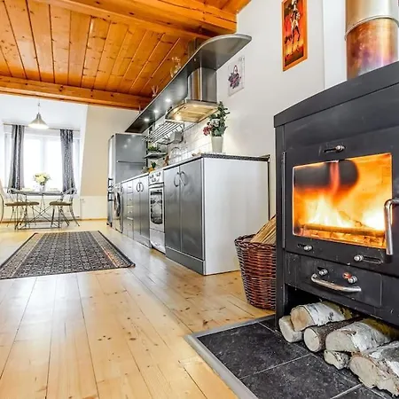 Apartment Utulny A Prostorny Podkrovni S Krbovymi Kamny Ceske Budejovice